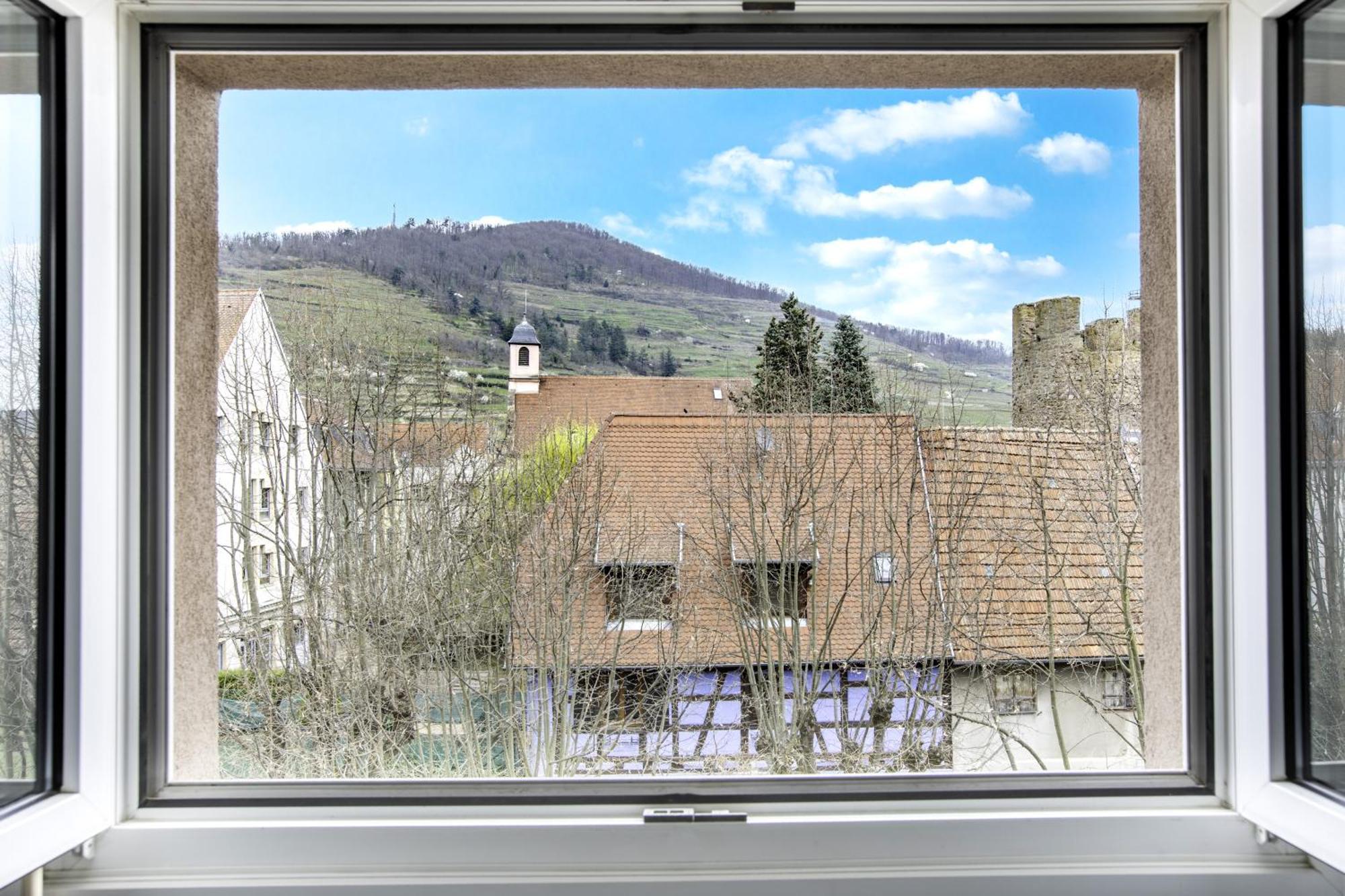 Choupette De La Vallee Avec Garage Kaysersberg-Vignoble Exterior photo